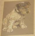 Framed Pastel on Paper of a Terrier by Warren B Davis American 18651928