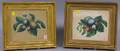 Two Giltwood Framed 19th Century Watercolor Fruit Still Lifes