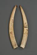 Pair of Scrimshawed Walrus Tusks