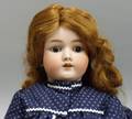 Handwerck Bisque Child Doll