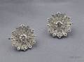 Platinum and Diamond Earclips
