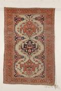 Sarouk Rug