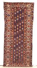 Shirvan Long Rug