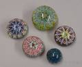 Five Internally Decorated Strathearn Paperweights