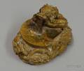 Carved Dragon Tan Jade Inkstone
