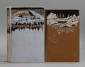 Arctic Exploration Pictorial Cloth Two Titles