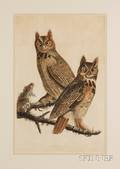 Audubon John James 17851851