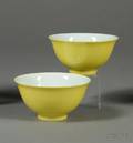 Pair of Porcelain Cups