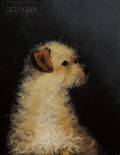 British School 19th Century Rab  A Portrait of a Terrier