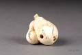Ivory Netsuke