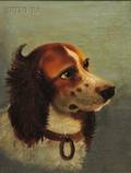 American School 19th Century Boston School Portrait of a Spaniel