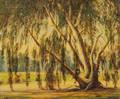 Paul A Grimm American 18911974 The Lone EucalyptusA Southern California Landscape