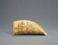 Engraved Whales Tooth