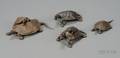 Lot of Four Bronze Tortoises