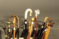 Group of Twelve Canes and Walking Sticks