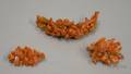 Three Pieces of Carved Coral Jewelry