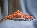 Antique Coral Tiara