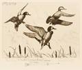 Richard Evett Bishop American 18871975 Lot of Three Duck Subjects Blue Wings The Wilderness Club Annual Dinner