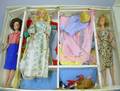 Group of Barbie Dolls Cases Clothes and Accessories