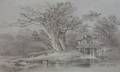 Unframed Graphite on Paper Study of a Dam by a Tree Attributed to John Berney Ladbrooke British 18031879