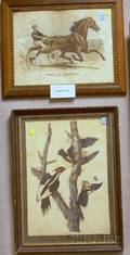 Lot of Five Framed Engravings Lithographs and Offset Prints Depicting Birds and Horse Races
