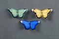 Three Royal Doulton Butterfly Clasps