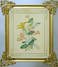 Victorian watercolor floral study signed John Collins 1896