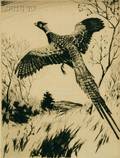Churchill Ettinger American 19031985 Pheasant