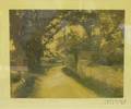 Wallace Nutting Handcolored Photographic Print Pattis Favorite Walk