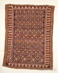 Shirvan Rug