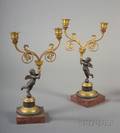 Pair of Louis XVIstyle Parcel Gilt Bronze Two Light Candelabra