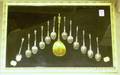 Framed Collection of Twelve Sterling Silver Apostle Spoons with a Giltmetal Christ Spoon