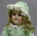 Handwerck Bisque Head Doll