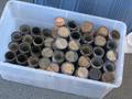 Approximately Seventy Edison Amberol Cylinders