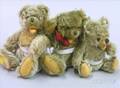 Three Small Steiff Zotty Bears