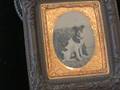 Ambrotype Portrait of a Dog