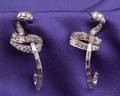 Platinum and Diamond Earpendants