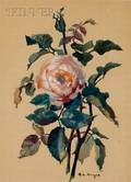 George Loftus Noyes American 18641954 Portrait of a Rose