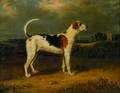 W R Waters British fl 18381867 Dog in Landscape