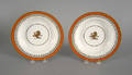 Pair of Chamberlains Worcester plates