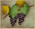 Luigi Rist American 18881959 Two Bunches of Grapes
