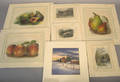 Six unframed prints together with a watercolor by Claude Bernardin