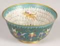 Cloisonne Bowl