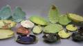 Eighteen Assorted Carlton Ware Leafform and Series Ware Dishes