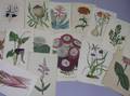 Sixteen Assorted 19th Century Handcolored Horticultural Bookplates
