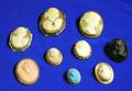 Nine Shell Carved and Glass Cameo Brooches and Pendant Brooches