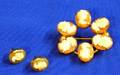 Goldfilled and Shell Carved Cameo Circle Pin and Matching Earrings