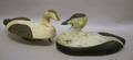 Two Carved and Painted Wooden Eider Duck Decoys