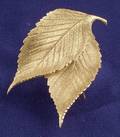 18kt Gold Leaf Brooch