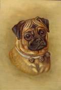 American School 19th Century Pug with ThreeBell Collar